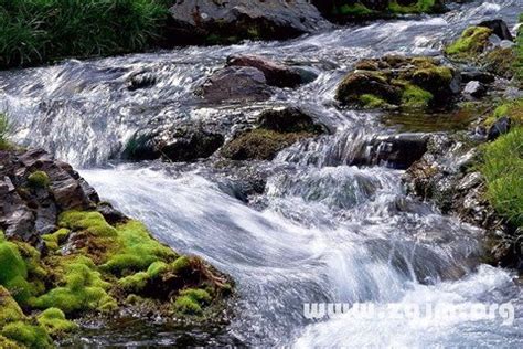 夢見溪流|夢見溪流，夢到溪流是什麽意思？